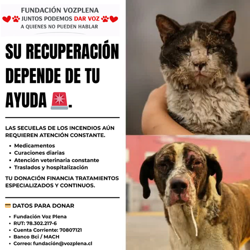 UN PEQUEÑO APORTE, UN GRAN IMPACTO